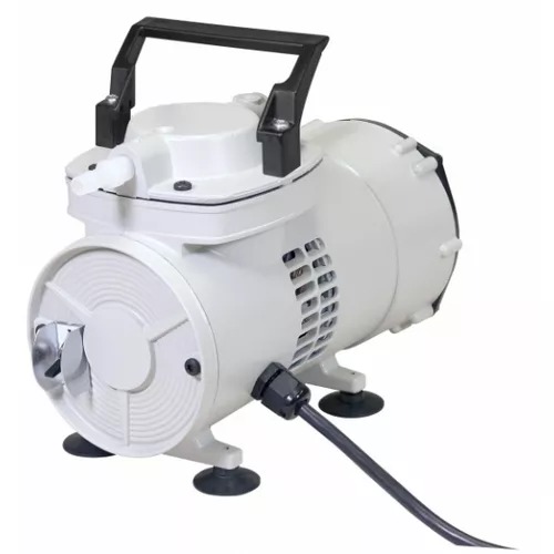 2019C-02